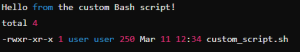 output for bash command