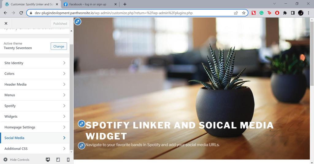 Social Media section in Customize