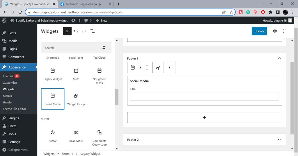 Social Media Widget