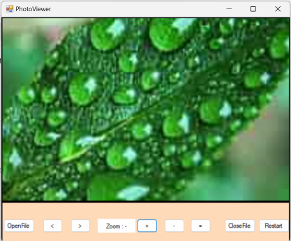 Zoomed Image